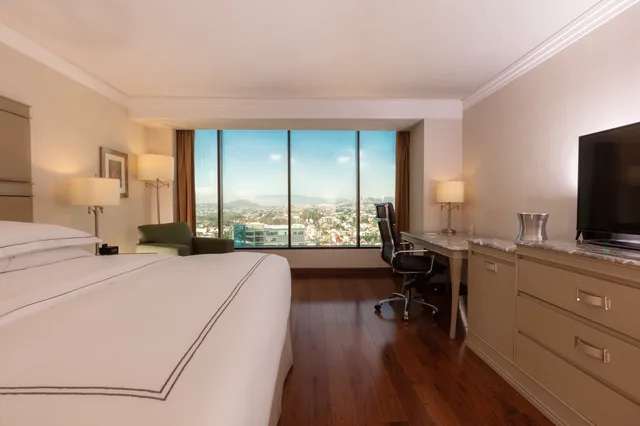 Superior, City View, Barcelo Guadalajara 2/9