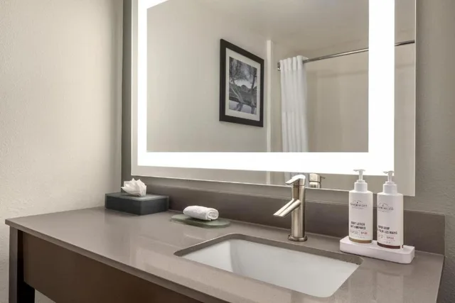 Executive, King Bed, Sofa, La Quinta Inn & Suites by Wyndham Fairfield - Napa Valley 4/4