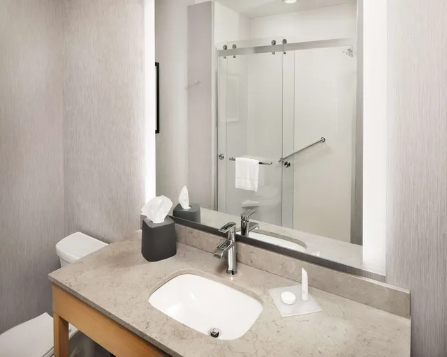 Specialty, King Bed, Sofa، Hyatt Place Murfreesboro 2/2