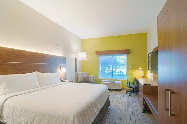 غرفة قياسية بسرير كينج، Holiday Inn Express Hotel Suites Tampa Usf Busch Gardens 3/9