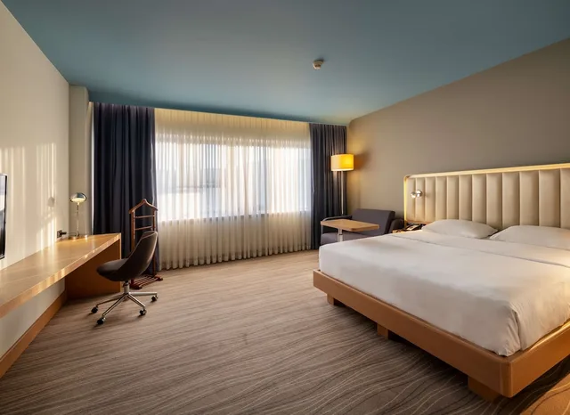 غرفة سوبيريور بسرير كينج، Park Inn By Radisson Samsun 1/10