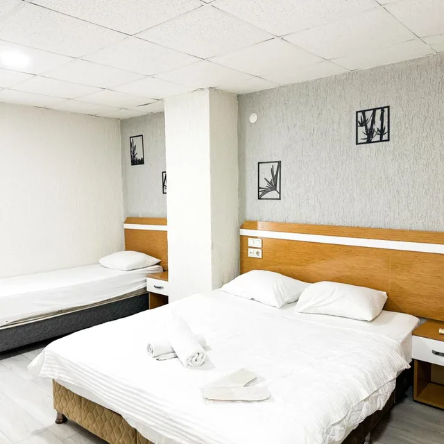 غرفة قياسية بسرير مزدوج أو سريرين منفصلين، Avcilar Inci Hotel 1/10