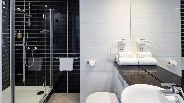 غرفة قياسية بسرير مزدوج أو سريرين منفصلين، HOLIDAY INN EXPRESS UTRECHT - PAPENDORP 3/3