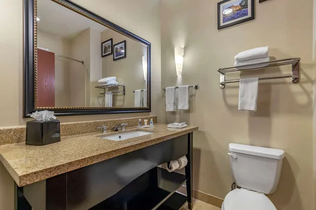 جناح بسرير كينج، Comfort Suites Buda - Austin South 2/2