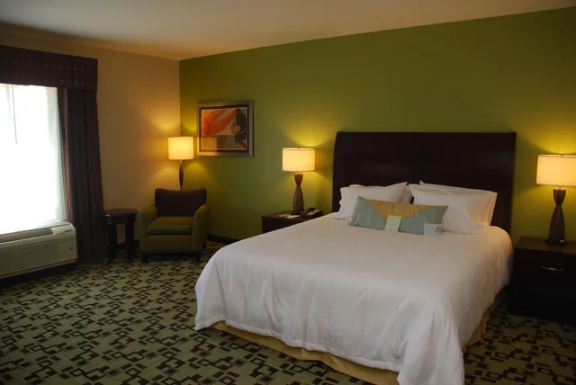غرفة بسرير كينج مع أريكة لذوي الإعاقة، Hilton Garden Inn Birmingham Trussville 1/2