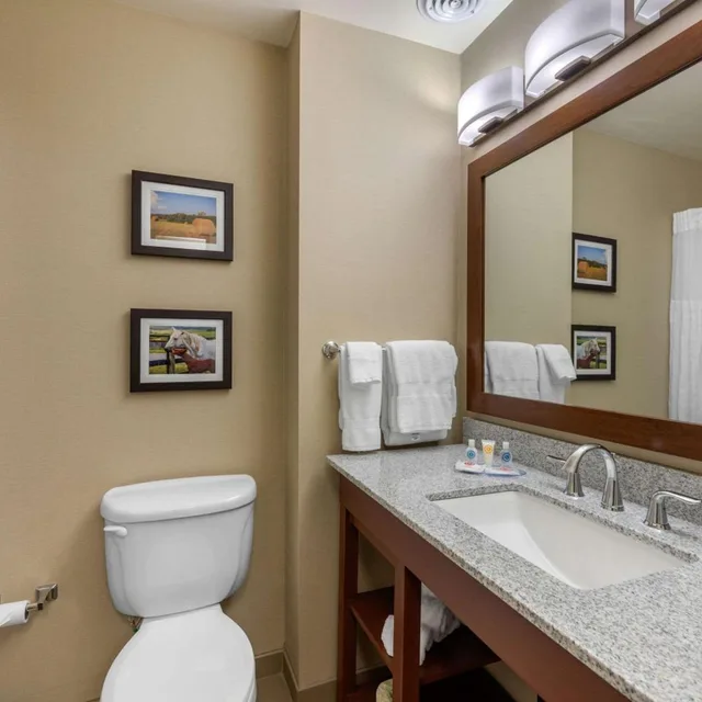 جناح بسرير كينج بحوض جاكوزي، Comfort Inn & Suites Northern Kentucky 5/9