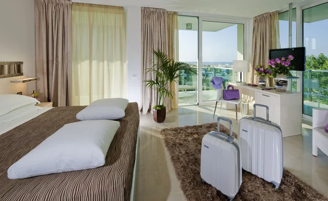 Classic, Double Bed, Lateral Partial Sea View, Lateral Side Sea View, Balcony, MERCURE RIMINI ARTIS 9/10