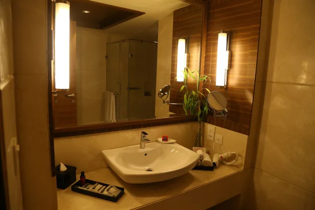 Premier, King Bed, THE LALIT CHANDIGARH 7/10