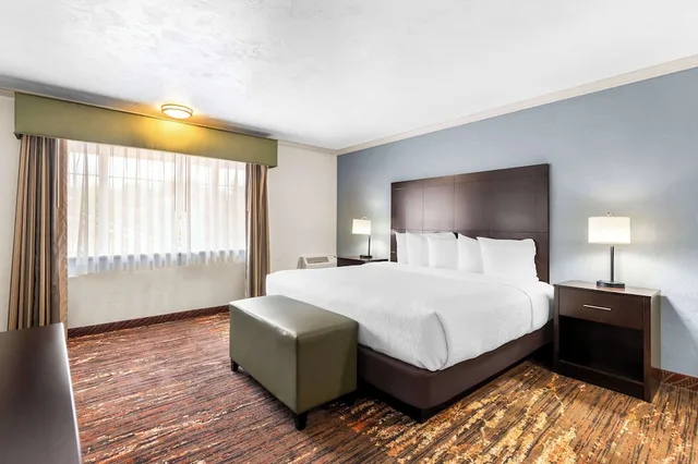 غرفة قياسية كبيرة بسرير كينج، Best Western Plus Parkway Inn. 1/7