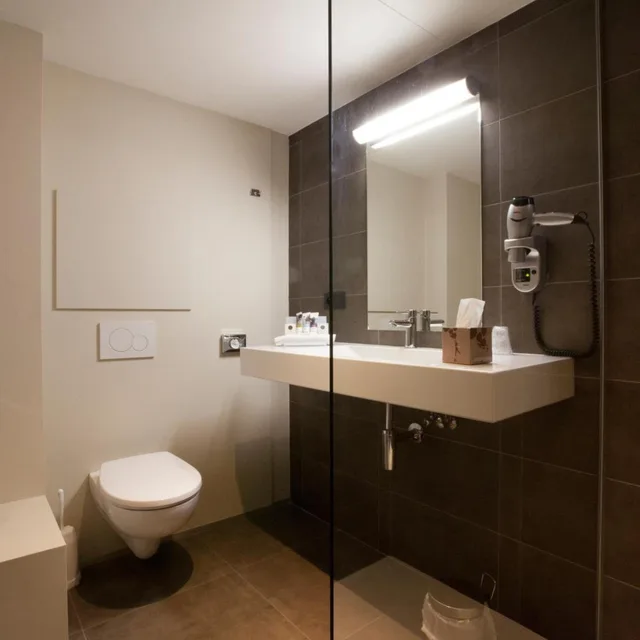 غرفة سوبيريور بسرير كينج، HOTEL MERCURE MECHELEN VE 6/6