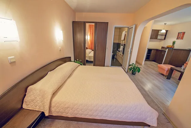 Studio, Queen Bed, Sofa, Balcony, Gran Ivan 2/6