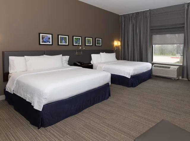 غرفة بسرير كوين لذوي الإعاقة، HILTON GARDEN INN AUSTIN AIRPORT 1/3