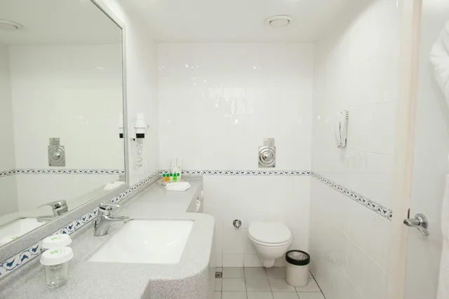غرفة بسرير مزدوج، Holiday Inn Istanbul City 4/4