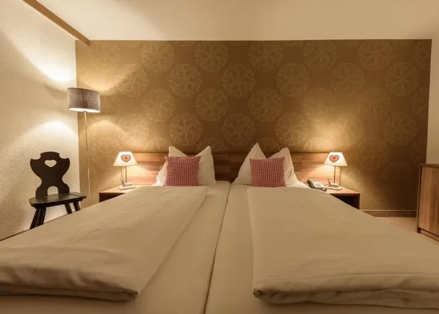 غرفة قياسية مزدوجة، Hotel Enziana Wien 10/10