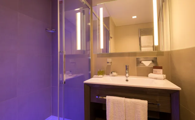 غرفة مفردة بسرير كينج، Doubletree By Hilton Hotel Yerevan City Centre 3/3