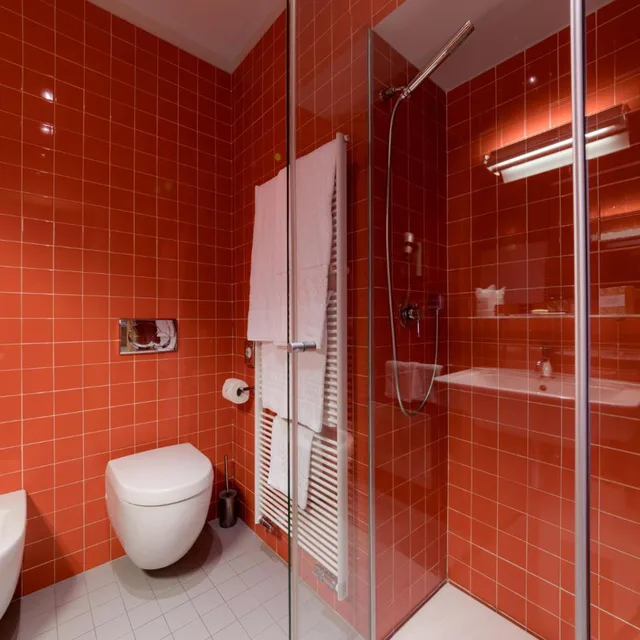 Room, Single, Hotel Valeria 6/15