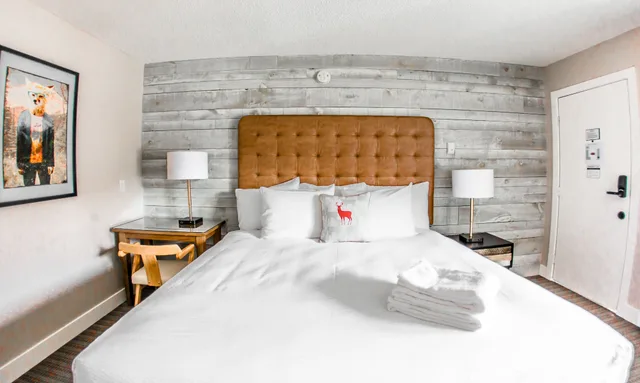 غرفة بسرير كينج يُسمح فيها بالحيوانات الأليفة، Lamphouse Hotel 2/8
