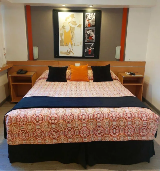 غرفة قياسية بسرير مزدوج، Sarmiento Palace Hotel 3/4