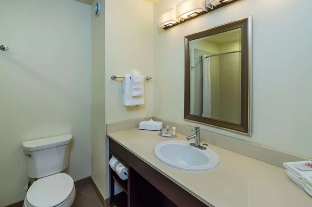 Efficiency, Suite, King Bed, Sofa، Comfort Inn & Suites Terrace 3/3