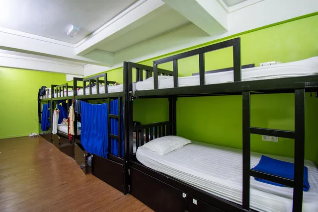 Female Dorm, Female Only, The Travel Hub Guesthouse 1/1