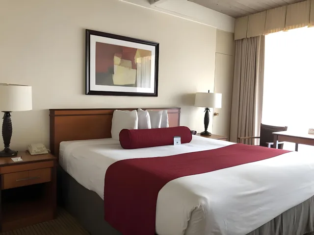 غرفة قياسية، Mikado Hotel 1/1