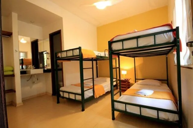 غرفة كومفورت رباعية بحمام خاص، Mango Tree Hostel 1/8