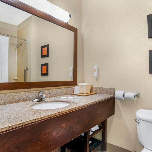 جناح ديلوكس بسرير كوين مع أريكة، Comfort Suites Montgomery East Monticello Dr 9/9