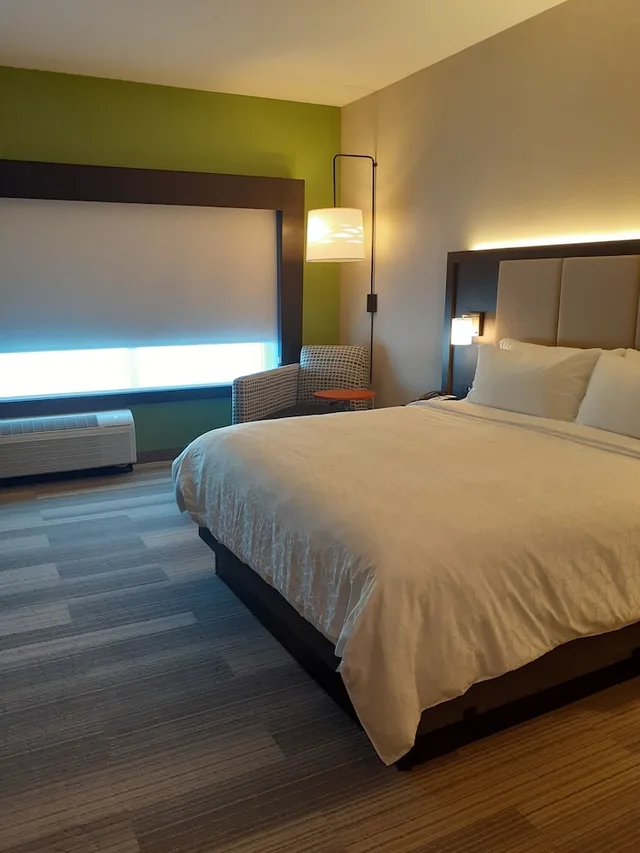 غرفة قياسية بسرير فردي، Holiday Inn Express and Suites Richburg 1/1
