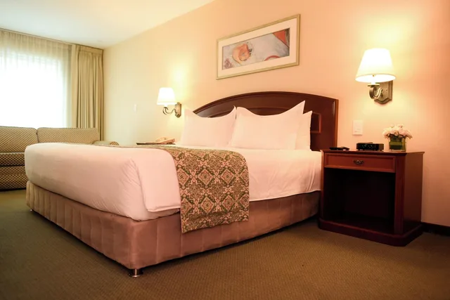 غرفة قياسية مفردة، Los Tallanes Hotel Suites 3/5