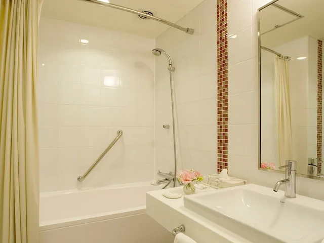 غرفة كومفورت مفردة بسرير مزدوج في المبنى الرئيسي، Hotel Nikko Narita 3/4