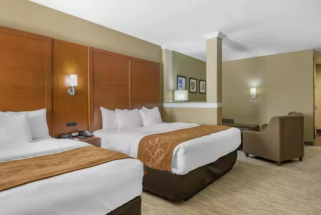جناح بسريرين كينج، Comfort Suites Lubbock TX 1/5