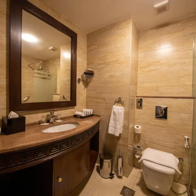 غرفة قياسية مفردة، Petra Canyon Hotel Petra 6/9