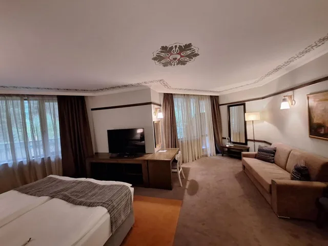 استوديو مع أريكة، Hot Springs Medical & Spa Hotel 1/6