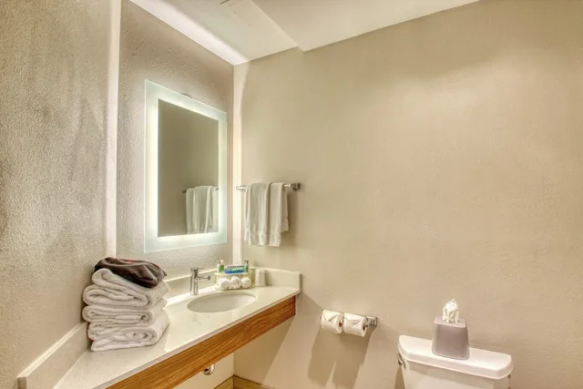 Suite, King Bed, Sofa, Holiday Inn Express Hotel And Suites Oshkosh Sr 41 5/7