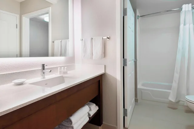 استوديو بسرير كينج مع أريكة لذوي الإعاقة، Residence Inn by Marriott Tampa at USF/Medical Center 3/3