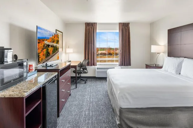 Guest Room, Single, King Bed, Accessible, Cobblestone Hotel & Suites - Denmark 3/6