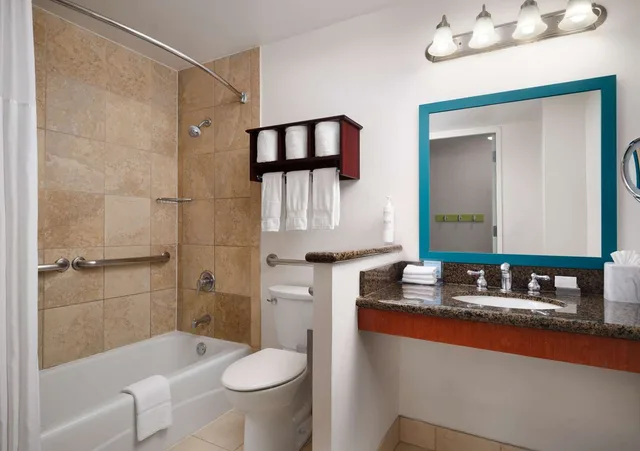 غرفة بسرير كينج بحوض استحمام لذوي الإعاقة، HAMPTON INN CHICAGO DOWNTOWN/MAGNIFICENT MILE 3/3
