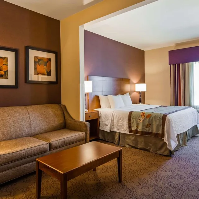 جناح بسرير كينج بغرفة نوم واحدة مع أريكة، Best Western Plus Carousel Inn & Suites 6/8