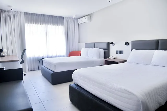 Executive, 2 Double Beds, Sicomoro Hotel 1/1