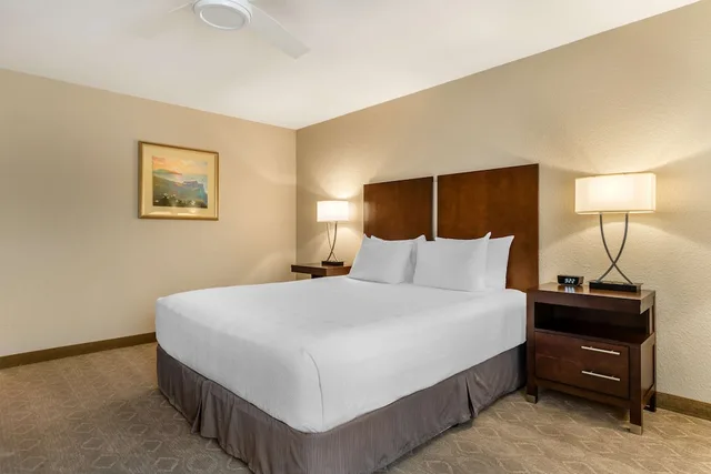 غرفة قياسية بسرير كينج، Best Western Plus Monterey Inn 1/6