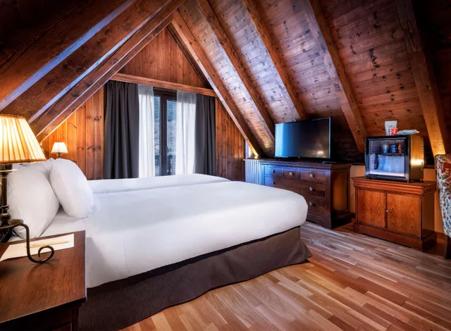 suite, Hotel de Tredos Baqueira Affiliated by Melia 2/4
