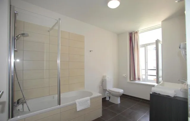 شقة بغرفة نوم واحدة، Appart hotel Odalys City Colmar Centre 5/5