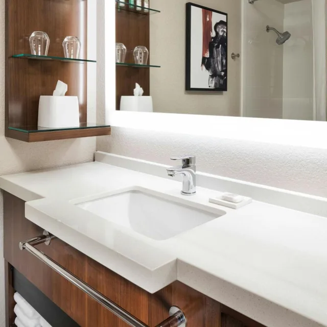 غرفة بسرير كينج، Delta Hotels Minneapolis Northeast 7/11
