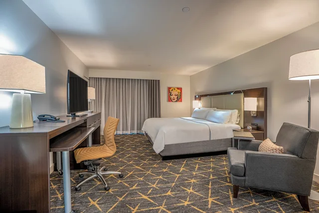 غرفة بريميوم بسرير كينج بإطلالة على المدينة، Holiday Inn New Orleans - Downtown Superdome 2/8