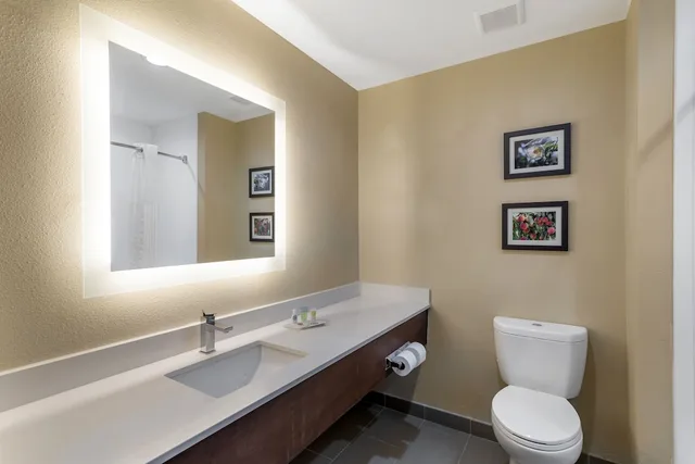 جناح، Comfort Suites Locust Grove Atlanta South 4/4