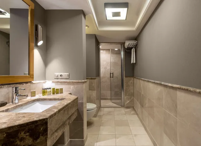 غرفة ركنية بسرير مزدوج بإطلالة على البحيرة، Doubletree By Hilton Hotel Van 9/10