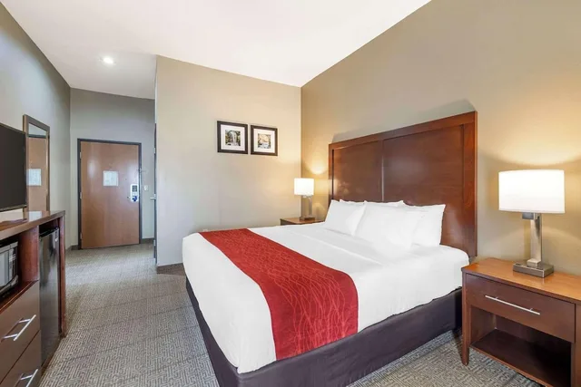 Room, Single, King Bed, Spark by Hilton Grain Valley Kansas City 1/2