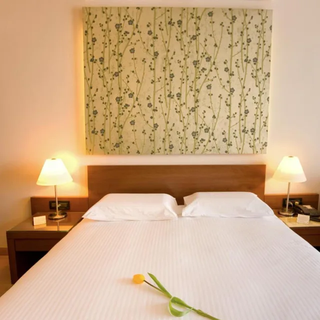 Standard, Double Bed, Pharae Palace 1/6