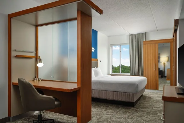 استوديو مع أريكة لذوي الإعاقة، Springhill Suites By Marriott Pittsburgh Mt Lebanon 3/3