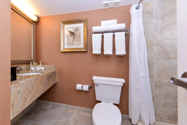 Standard, King Bed, Pool Access, Holiday Inn Express Clearwater East Icot Center 7/9